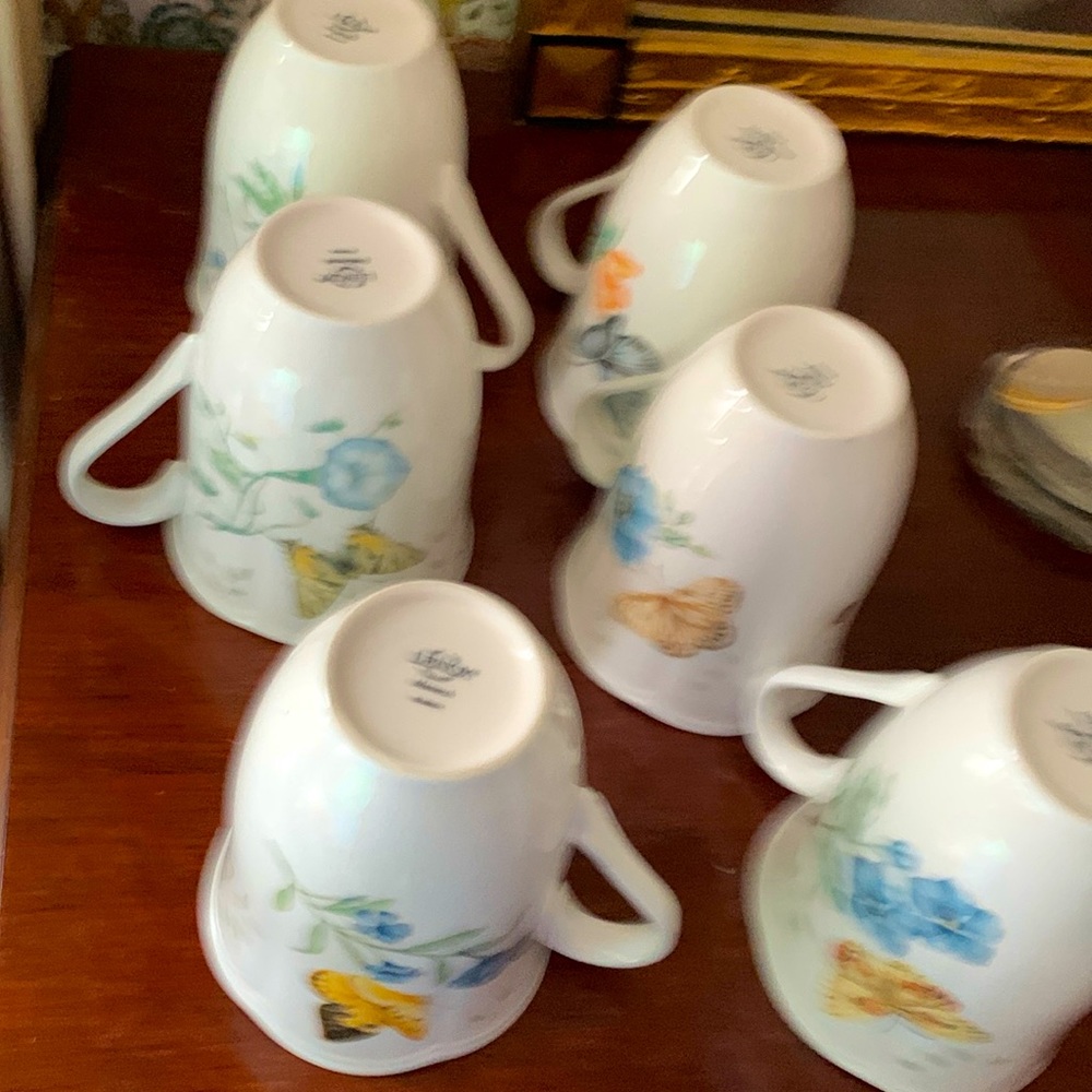 Set of six Lenox cups butterfly pattern butter